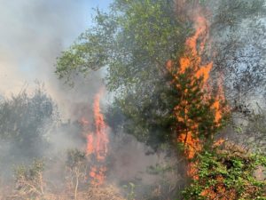 heath fire 2