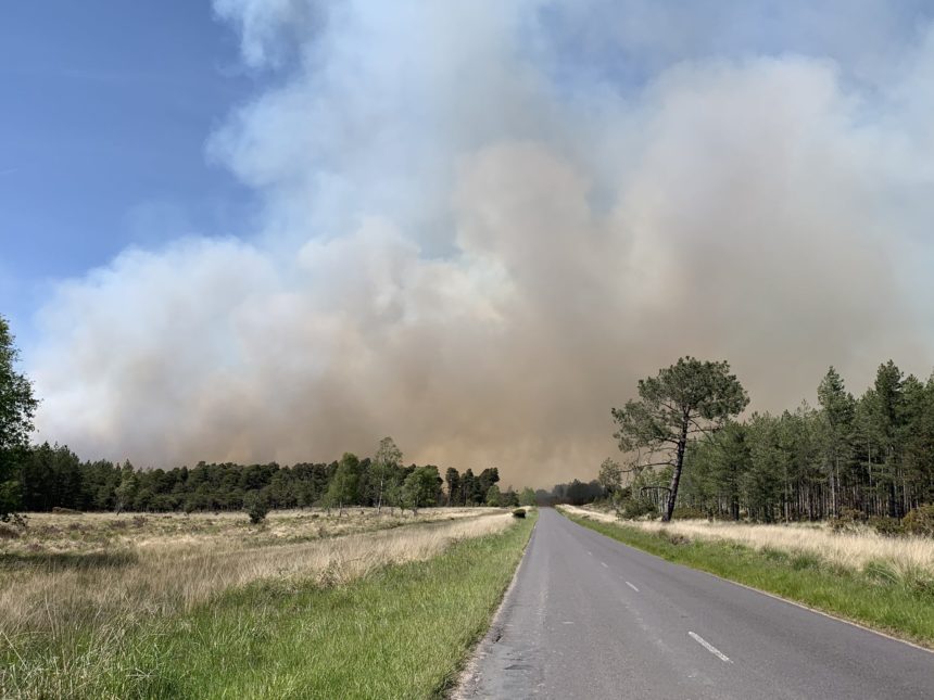 Wareham Forest Fire