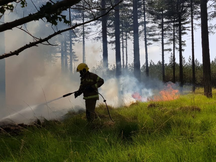 Wareham Forest Fire