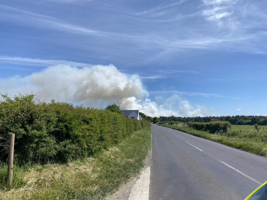 Wareham Forest Fire