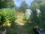 Prince of Wales School Wildlife Garden