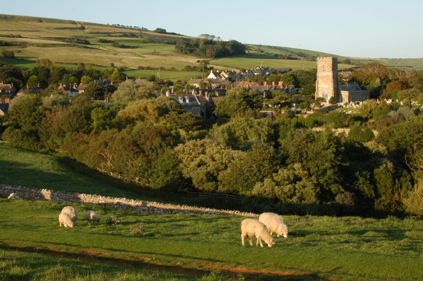 abbotsbury hillside
