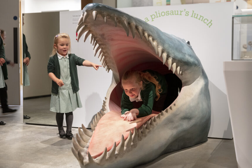 Dorset Museum Kids in Museum 