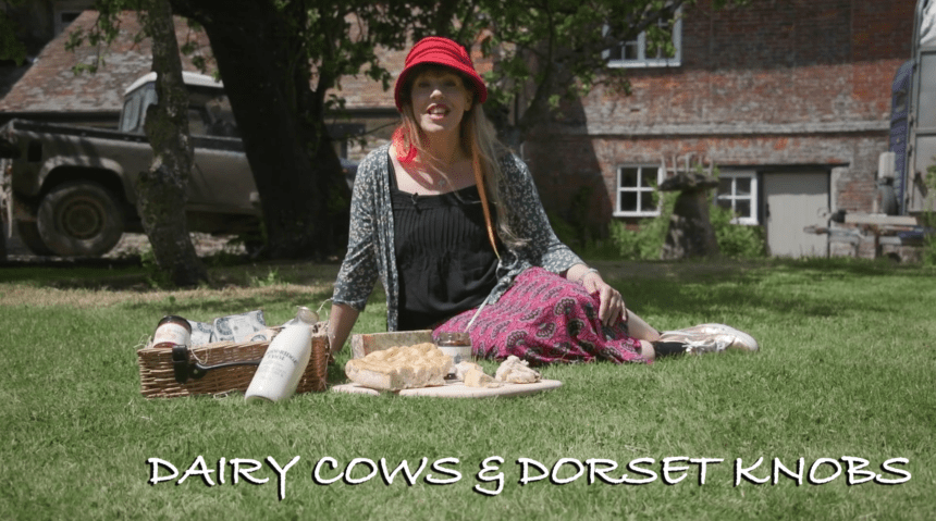 Dairy Cows and Dorset Knobs