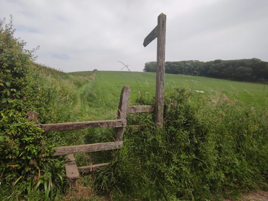 Dorset landscape