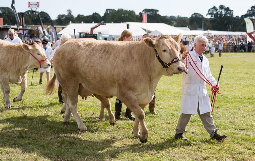 Dorset County Show