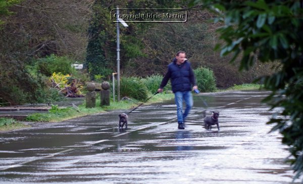 Flooding at Martinstown