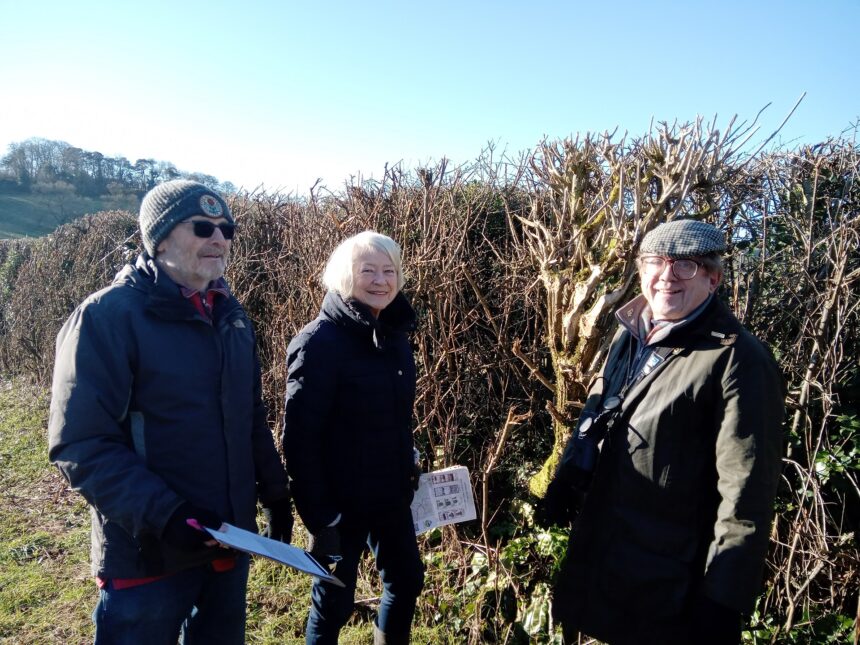 Chilfrome - Hedge survey with Kate Adie 18th Jan 2024