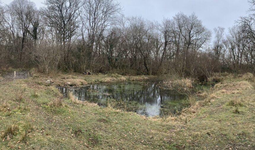 Photo credit, Dorset Wildlife Trust. Pond restoration at Powerstock Common, Kingcombe National Nature Reserve, James Cartwright.