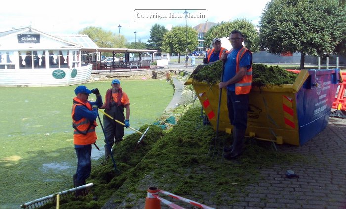 Radipole Lake Clean up