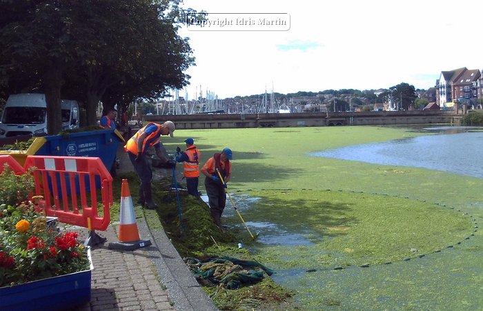 Radipole Lake Clean up