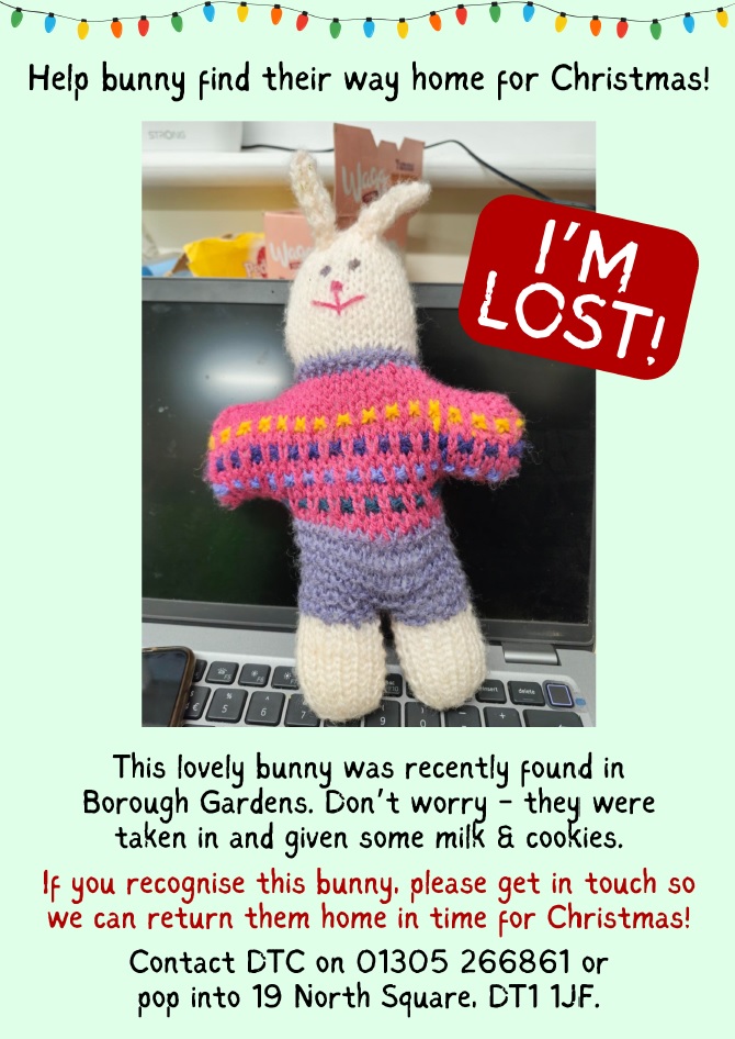 Lost bunny poster