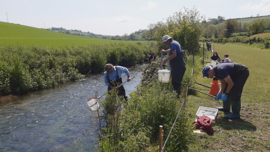 Campaign launched to restore Dorset’s rivers and wetlands - for wildlife and for people