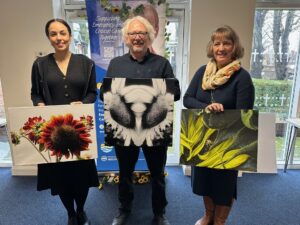 Photograhpy competition winners