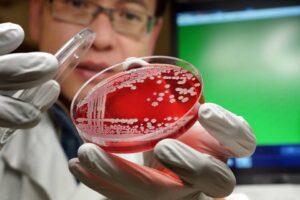 Cook or Kill lecture. Photo credit: Rodolfo Parulan