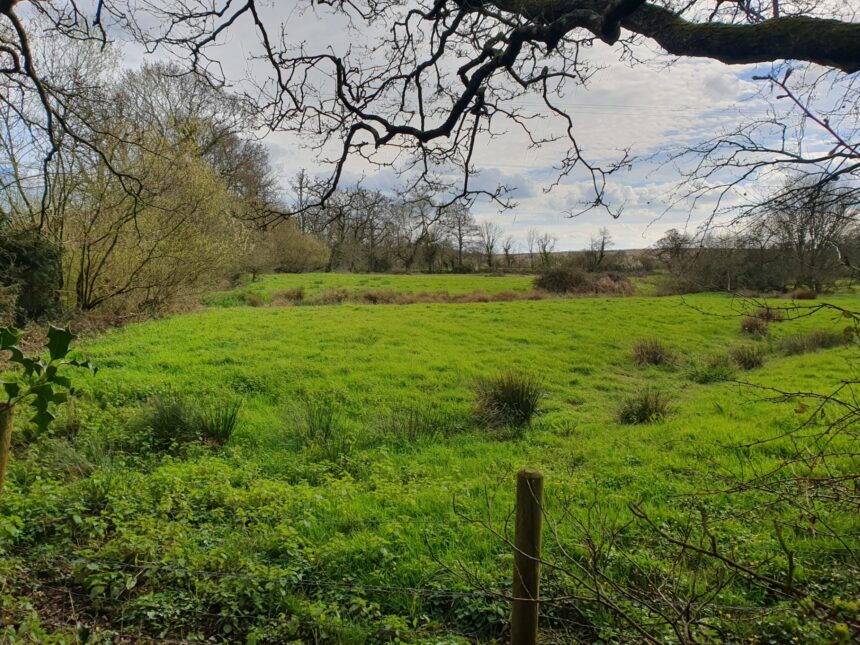 The water meadow site adjacent to the Thomas Hardy Trail and a short stroll from Stinsford Church