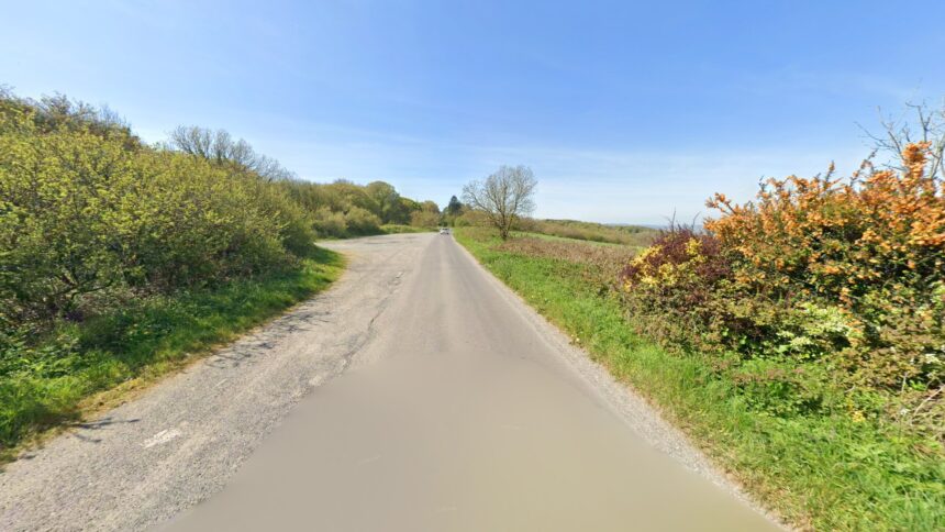 Witness and dashcam appeal following reported dangerous driving incident