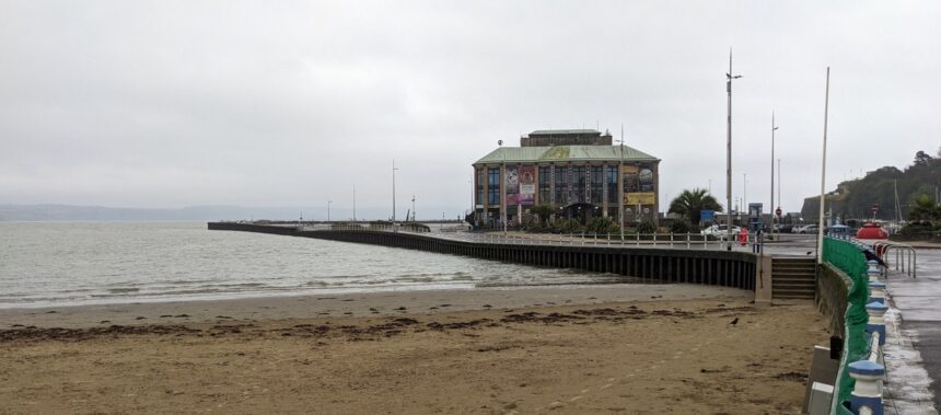 Dorset Council capital budget cut-back