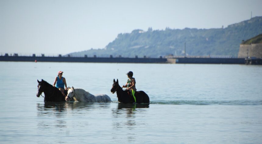 Say Neigh to the heat!