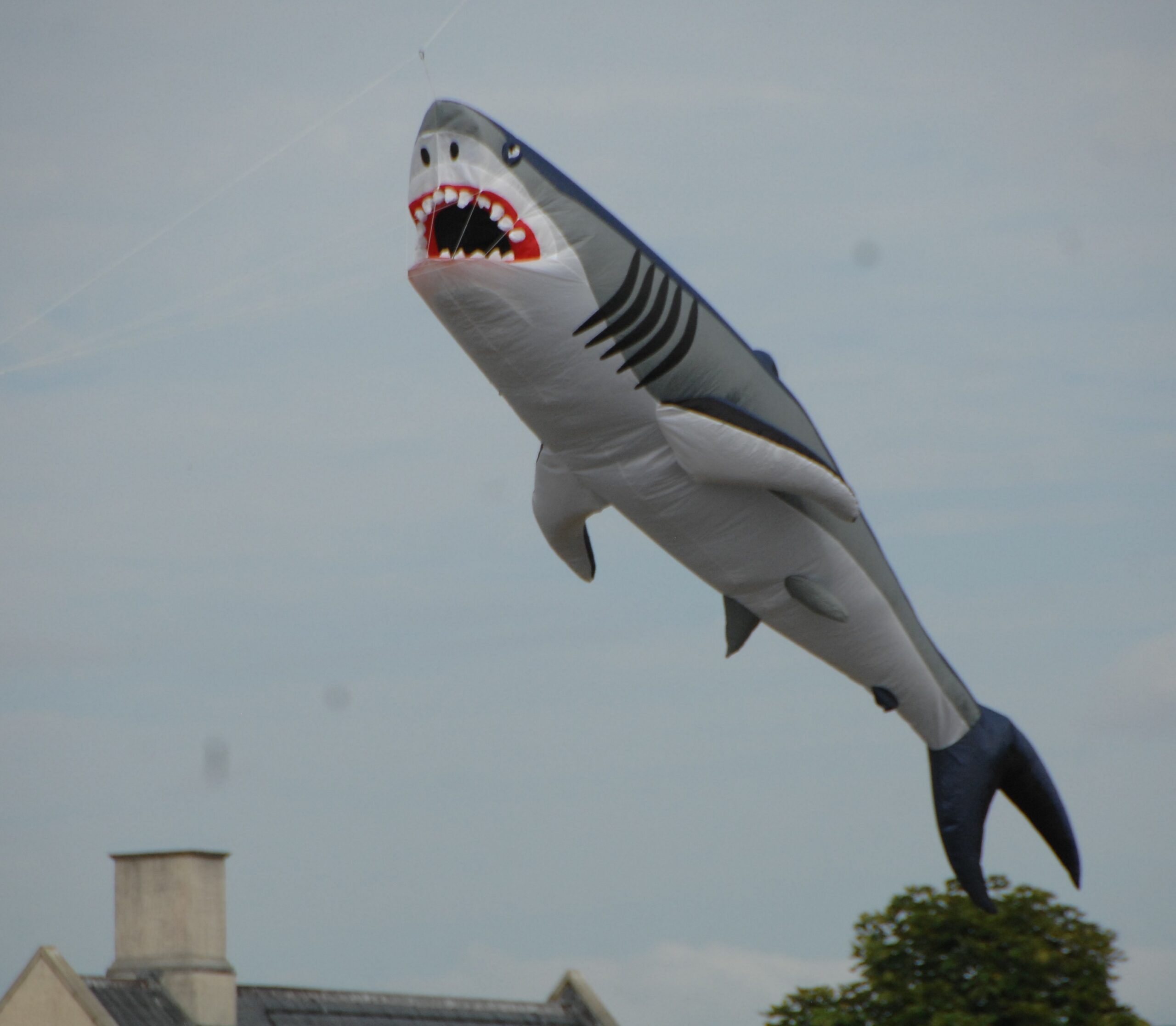 Dorchester Kite Festival 2026