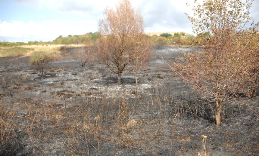 Heath fire A354
