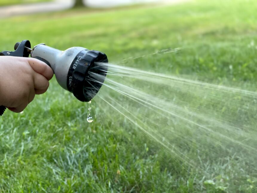 watering the garden