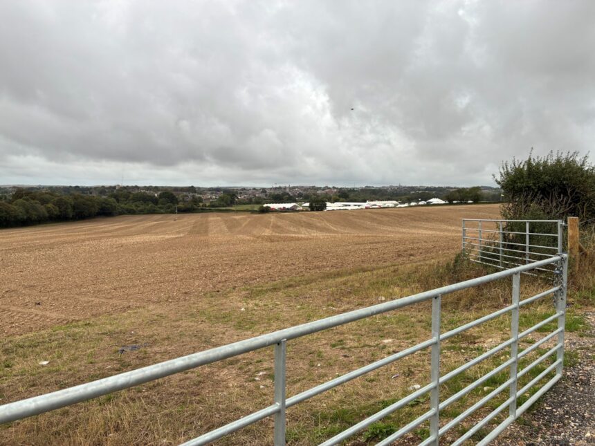 The farmland site with the Dorchester Showground in the background.