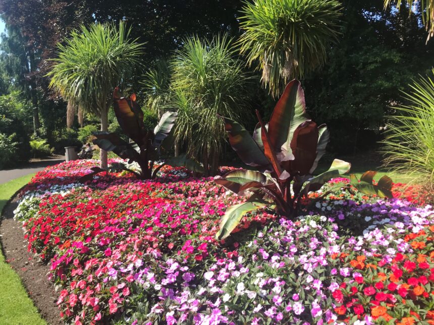 Borough Gardens in Summer